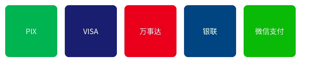 精神小妹支持的支付方式图标展示